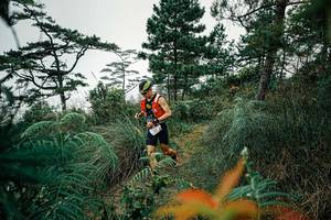 BIB: 
                            <button type="button" onclick="openModal(25257792)" class="btn btn-primary btn-sm float-right btn-popup" data-toggle="modal" data-target=".modal-high-quality">
                        <i class="fas fa-shopping-cart"></i> Add to Cart
                    </button>
                                            <button type="button" onclick="isThisMe(25257792, true)" class="btn btn-success btn-sm float-right btn-popup btn-isme hidden" data-toggle="tooltip" data-placement="bottom" title="นี่คือรูปของคุณใช่ไหม คลิกที่นี่เพื่อเอาเข้าอัลบั้ม">
                        <i class="fas fa-plus"></i> Add to album
                    </button>
                    <button type="button" onclick="isThisMe(25257792, false)" class="btn btn-warning btn-sm float-right btn-popup btn-isnotme hidden">
                        <i class="fas fa-ban"></i> Remove from album
                    </button>